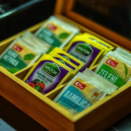 Lady Galadriel 兹拉蒂博尔